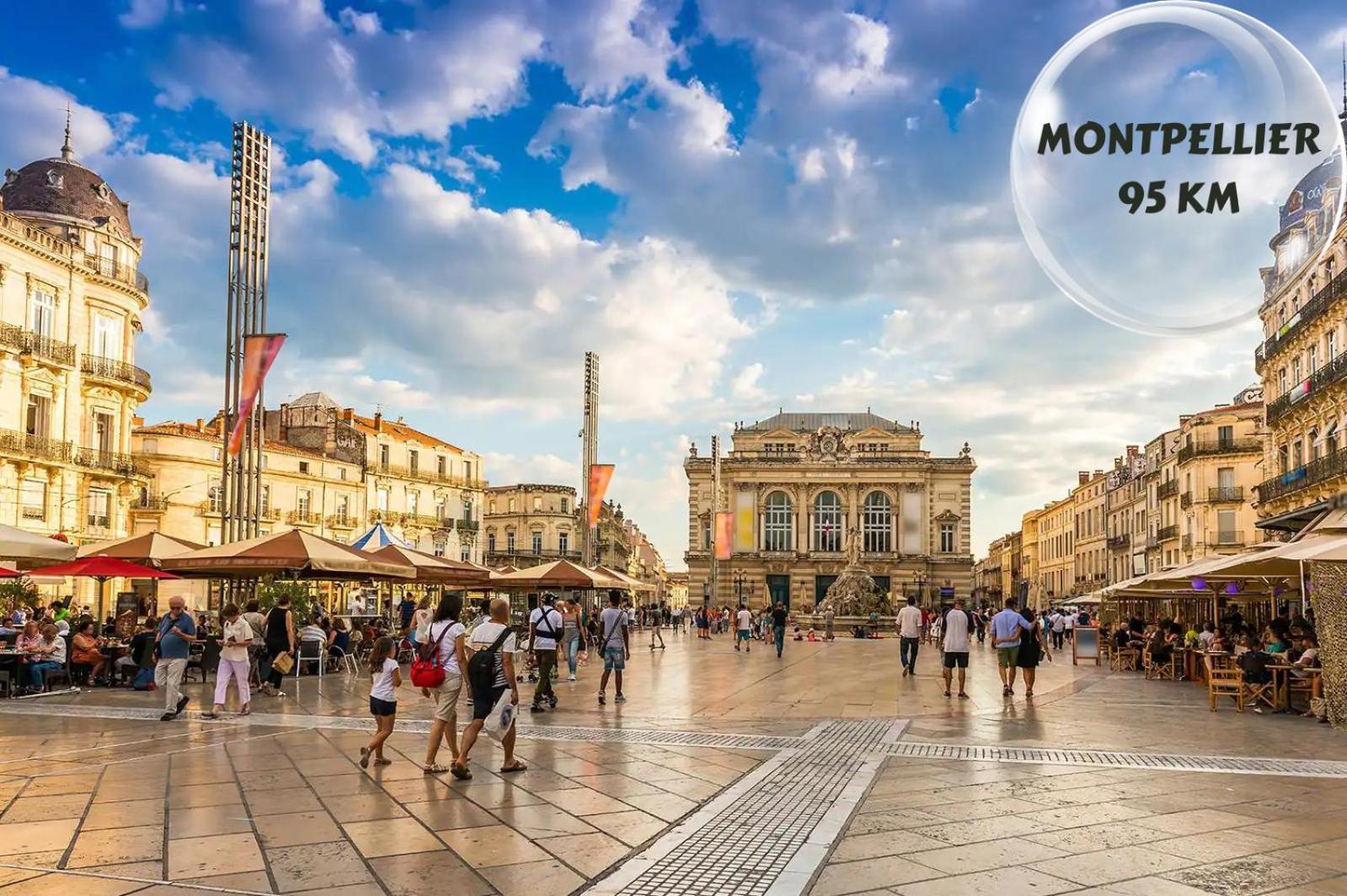 Le Cosy Du Gal, A 2 Pas Du Palais Des Papes Parking Gratuit Securise Leilighet Avignon Eksteriør bilde