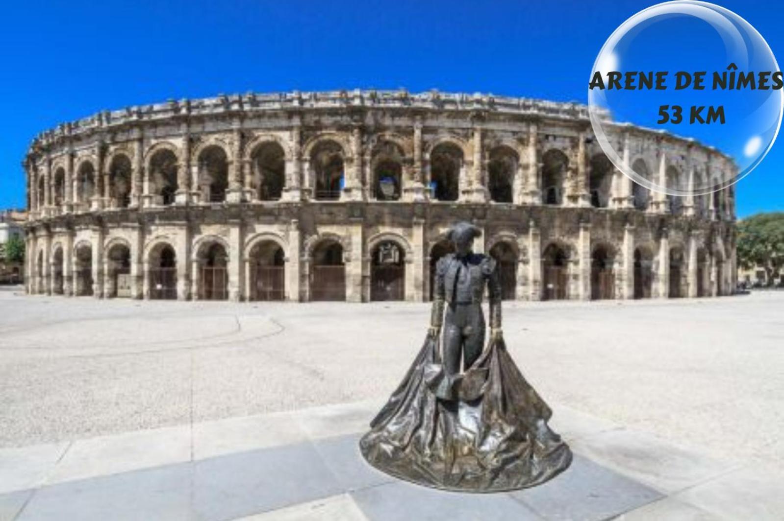 Le Cosy Du Gal, A 2 Pas Du Palais Des Papes Parking Gratuit Securise Leilighet Avignon Eksteriør bilde
