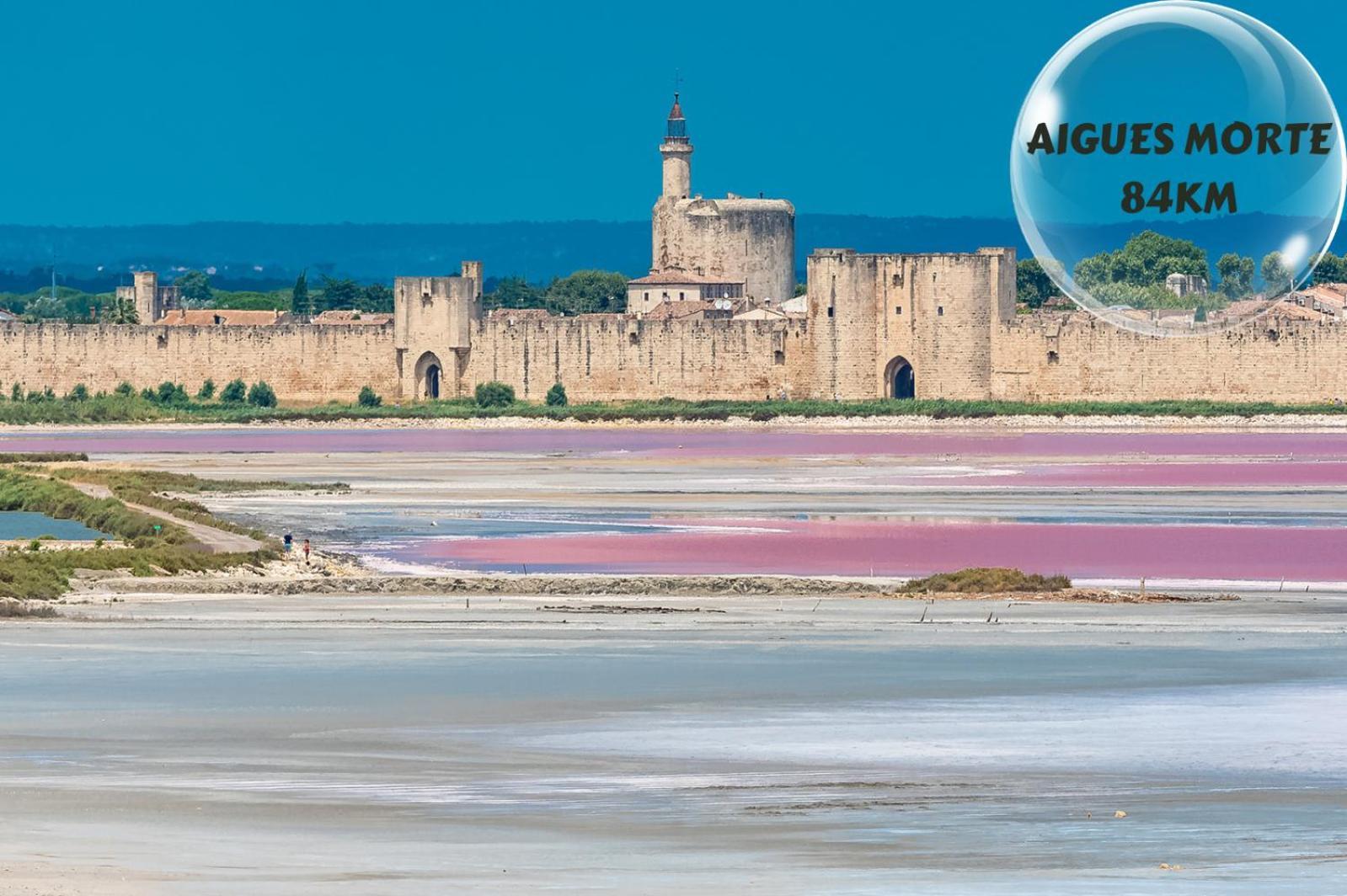 Le Cosy Du Gal, A 2 Pas Du Palais Des Papes Parking Gratuit Securise Leilighet Avignon Eksteriør bilde