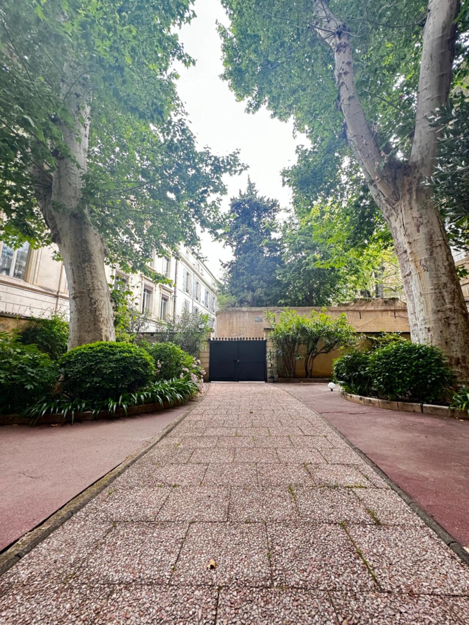 Le Cosy Du Gal, A 2 Pas Du Palais Des Papes Parking Gratuit Securise Leilighet Avignon Eksteriør bilde