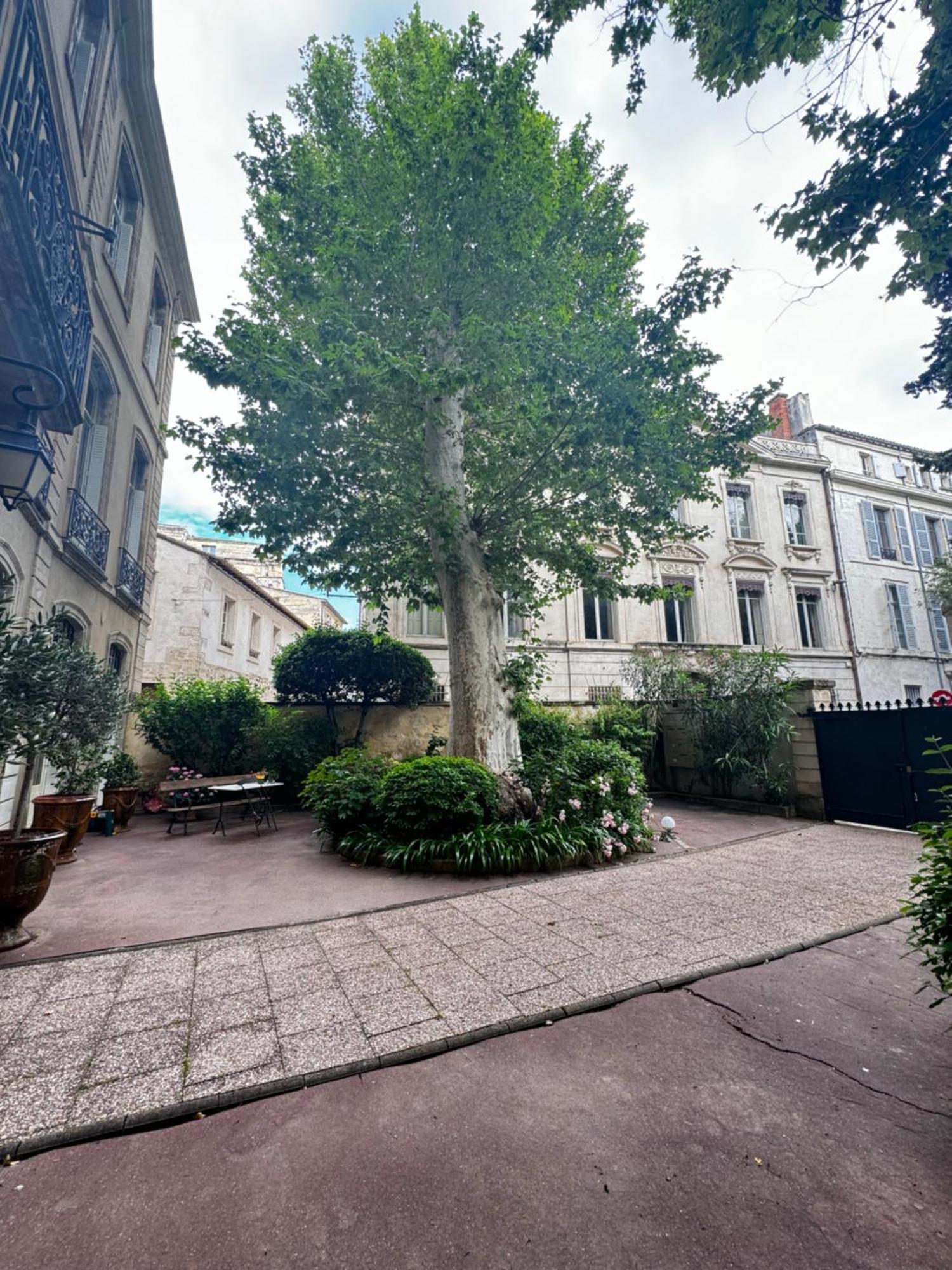 Le Cosy Du Gal, A 2 Pas Du Palais Des Papes Parking Gratuit Securise Leilighet Avignon Eksteriør bilde