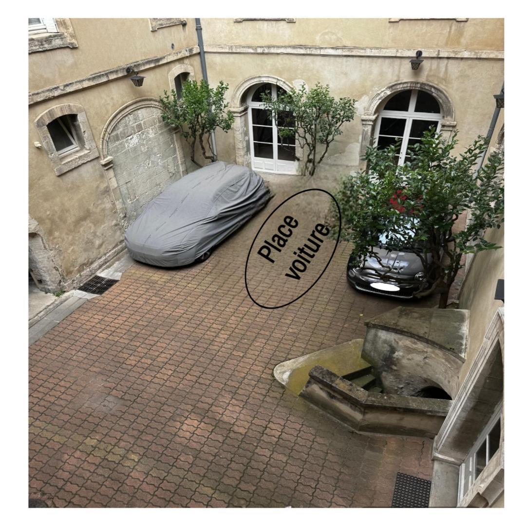 Le Cosy Du Gal, A 2 Pas Du Palais Des Papes Parking Gratuit Securise Leilighet Avignon Eksteriør bilde
